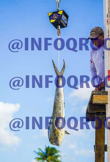 Torneo de pesca deportivo internacional en Cozumel 